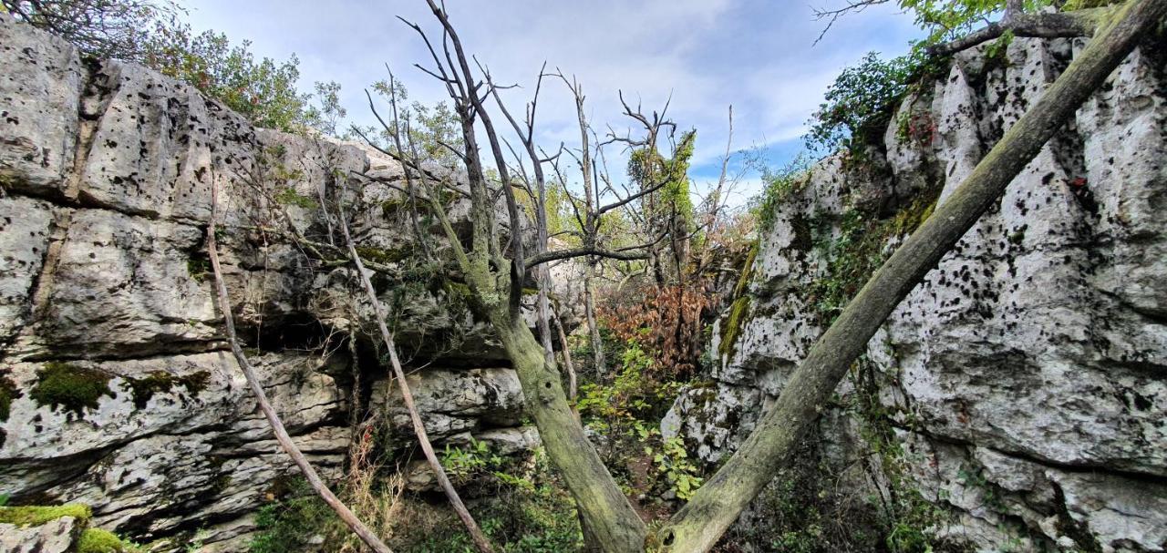 La Grange - Chez Gisi - Fuer Naturliebhaber, Abenteurer Und Geniesser Rocles  Kültér fotó